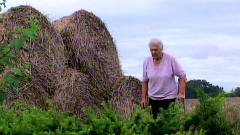 Ta naše povaha česká - Osmdesátiletí sedláci