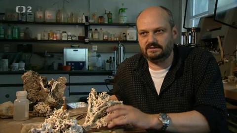 Dobrodružství vědy a techniky - Studené krásky