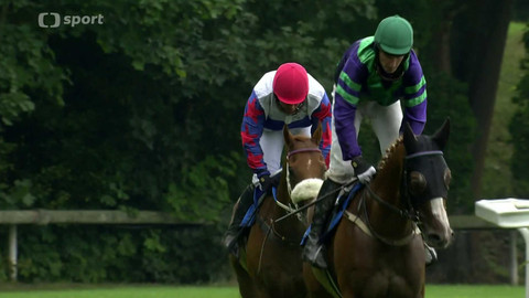 Koně a sport - 8. srpna