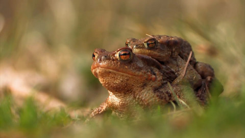 Chcete mě? - 12. března 2017