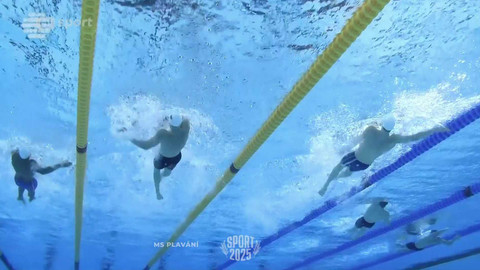 Sport roku - MS v plavání