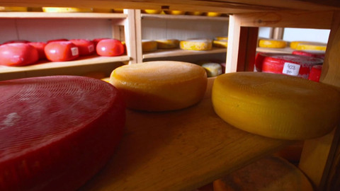 Cestou za chutěmi - Kozí a ovčí sýry