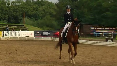 Jezdectví - Finále Českého drezurního poháru 2014 Brno