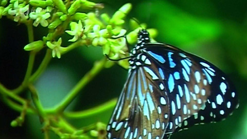 Popularis - 22. listopadu 2005