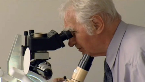 Vzkaz - Vzkaz Armina Delonga