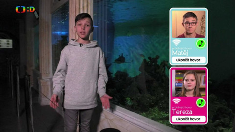 Wifina - 8. února 2019