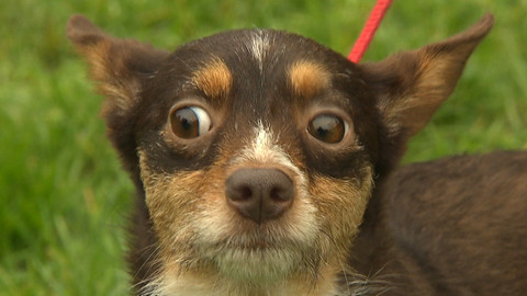 Chcete mě? - 11. prosince 2016