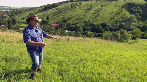 Nedej se! - Motýlí ráj