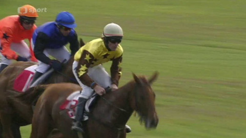 Jezdectví - Velká slušovická steeplechase 2015