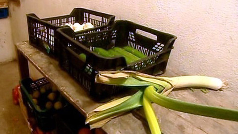 Pod pokličkou - Celer, mrkev, jabka skladujte jak babka. Co všechno nevíme a víme o tom, co pijeme a jíme