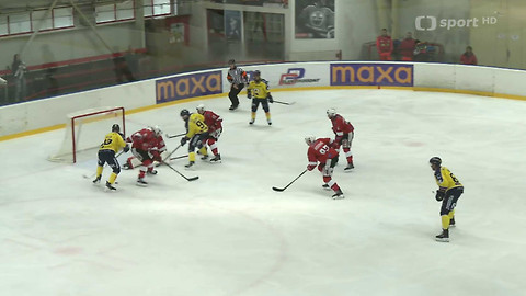 1. česká hokejová liga mužů - Maxa liga - souhrn