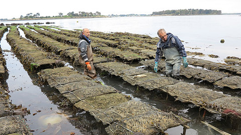 Bohové a mýty staré Evropy - 9/13 Nájezdníci - Pole orná a pole válečná