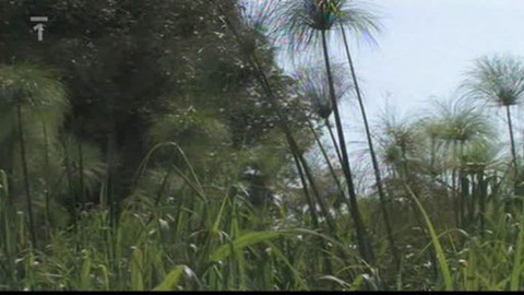 Objektiv - 24. ledna 2010