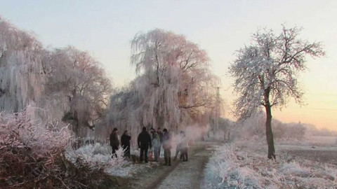 Nedej se! - Probuzené Zbuzany