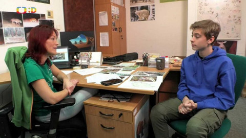 Wifina - 29. ledna 2021