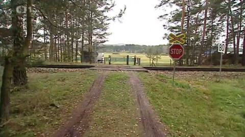 Černé ovce - 14. ledna 2015