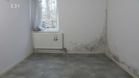 Černé ovce - 5. dubna 2023