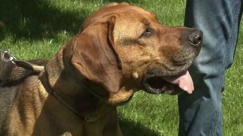 Chcete mě? - 6. září 2020