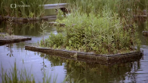 Kapka vody - Příkopy a jejich přínos