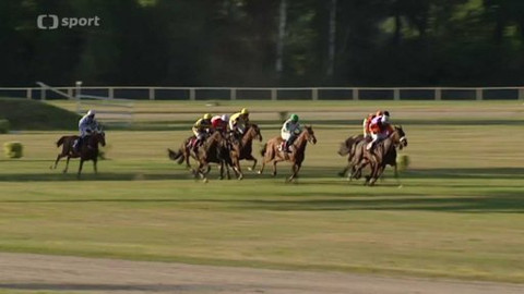 Turf - 8. července 2015