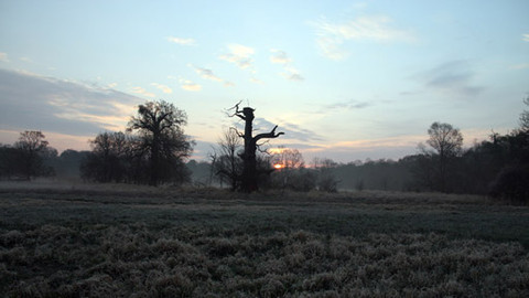 Krajem čapích hnízd