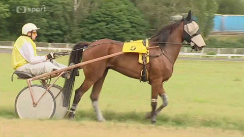 Turf - 23. listopadu 2016