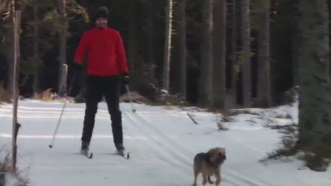 Běžkotoulky - Špičák