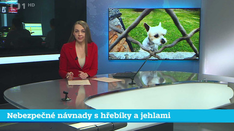 Události v regionech (jih a západ) - 21. května