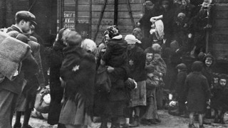 Osvětim: Hlasy přeživších