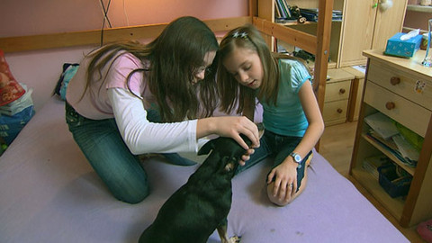 Zoománie - Epizoda 1/17