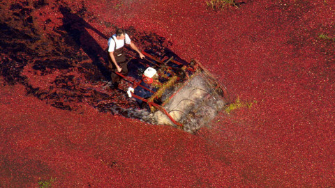 Krásné země z výšky - Nová Anglie