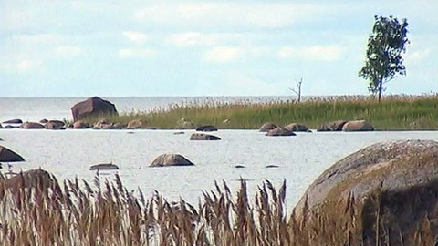 Cestománie - Estonsko