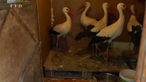 Zprávičky - 27. března 2018