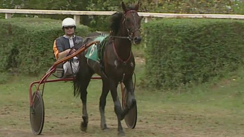 Jezdectví - České klusácké derby