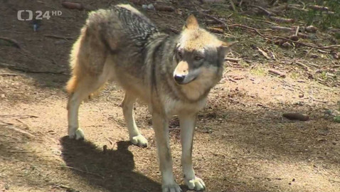 Regiony ČT24 - 16. září 2023