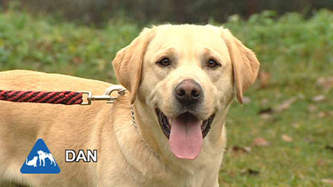 Chcete mě? - Chcete je?