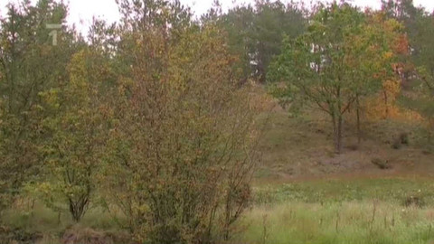 Živé srdce Evropy - Slanisko u Škrle