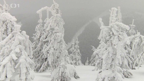 Toulavá kamera - 20. ledna 2019