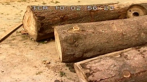 Zahrada je hra - 4. září 2008