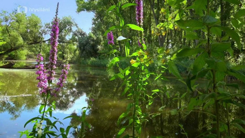 Kapka vody - Zkracování vodních toků v ČR