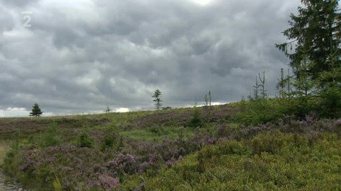 Přidej se - Vojáci odcházejí z Brd II.
