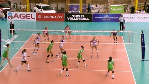 Volejbal - Česko - Alžírsko