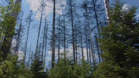 Nedej se! - Spory o podstatu národního parku