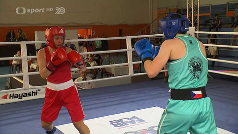 Box - FOSFA MČR Havířov