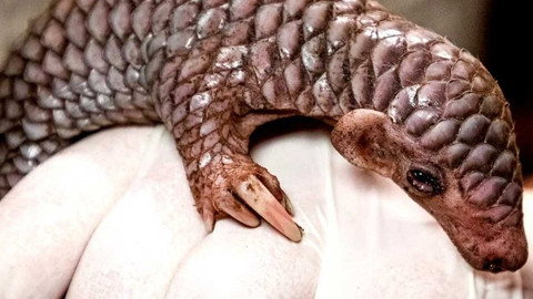 Z metropole - 4. února 2023