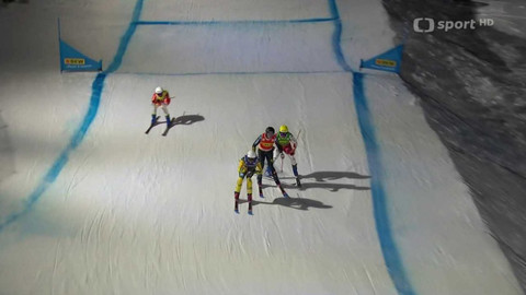 Světový pohár ve freestyle lyžování - Švýcarsko