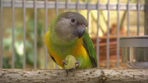 Chcete mě? - 22. dubna 2016