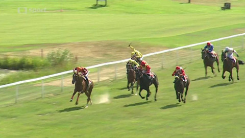 Turf - 5. srpna 2015