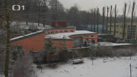 Černé ovce - 4. března 2013