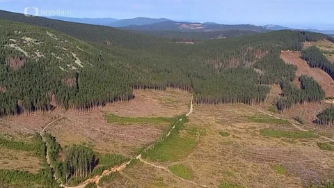 Nedej se! - Chráněné krajinné holiny